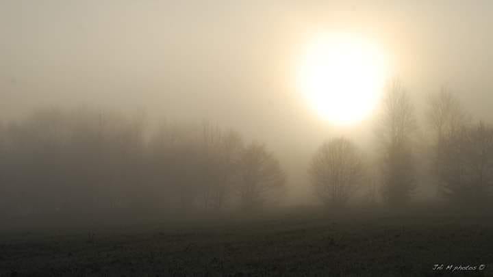 325864075 915285893153709 7373641859801211297 n