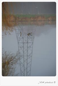 1009724 1022289557813648 8487604978661524980 O