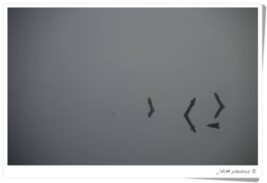 11251625 1022289284480342 1975860224157012859 O