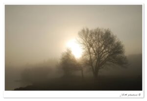 12365973 1022289407813663 529746209565749039 O