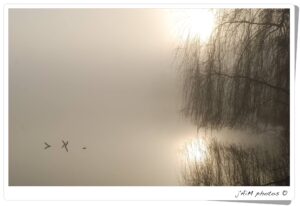 12374944 1022289347813669 944419053889225241 O