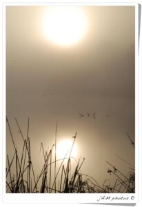 12377610 1022289321147005 7485953754857696175 O