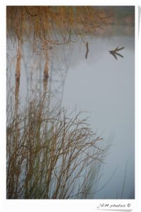 12377610 1022289614480309 317417602986589985 O