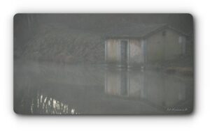 12469356 1036636819712255 822337