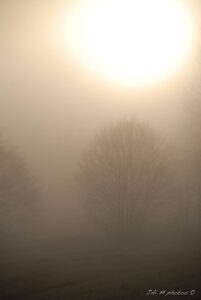 12473601 1036637373045533 467134