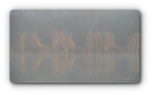 12484624 1036636736378930 675324