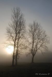 12485820 1036637286378875 419784